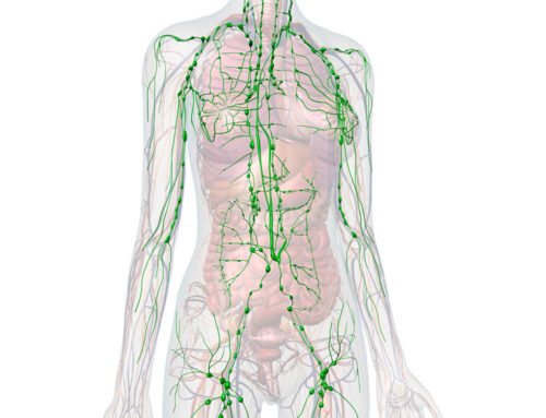 Lymphdrainage – Sanfte Behandlung mit großer Wirkung